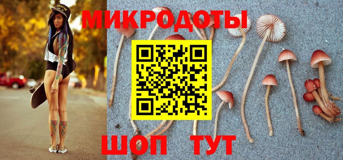 Железногорск  Галлюциногенные грибы мицелий  Вход с VPN 